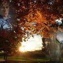    , , 35  -  27  2011   ***