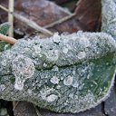 ���� �����.....����., �������, 43 ���� - ��������� 28 ������ 2011 � ������ ���� ����������