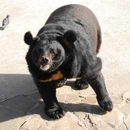 ���� ����, �����������, 45 ��� - ��������� 5 ���� 2010