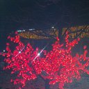 ���� Roman, ������, 48 ��� - ��������� 1 ����� 2012 � ������ ���� ����������