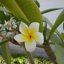 ���� Natali, ������ - ��������� 1 ���� 2010 � ������ ������-��� ������.....�