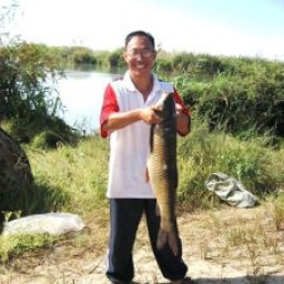 �����, ������, 60 ���