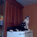 ���� ���, ������, 60 ��� - ��������� 24 �������� 2010 � ������ �� � �������� ��������