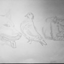 ���� ����, �������, 43 ���� - ��������� 7 ������ 2010 � ������ �1�