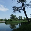 ���� �����, ������ - ��������� 28 ���� 2013 � ������ ���� ����������