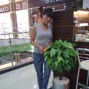 ���� ������, ������, 43 ���� - ��������� 1 ���� 2012 � ������ ���� ����������