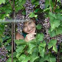 ���� �������, ������, 48 ��� - ��������� 17 ���� 2013 � ������ ���� ����������