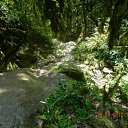 ���� �������, ����, 46 ��� - ��������� 1 ��� 2012 � ������ ����������� �������-�.����-�������� �������