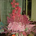 ���� �����, �������������, 25 ��� - ��������� 27 ���� 2013 � ������ ���� ������.�