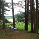  D.s., , 38  -  7  2013    2007,  ( .)