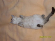 ���� ������, ������, 53 ���� - ��������� 25 �������� 2011