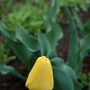 ���� ���������, ���������� - ��������� 4 ���� 2013 � ������ ���� ����������