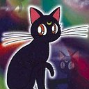 ���� �����, ������������, 24 ���� - ��������� 19 ������ 2010 � ������ ���� ���������