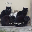 ���� ����, �����������, 23 ���� - ��������� 27 ������ 2010 � ������ �����Ȼ