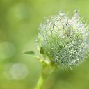 ��������������� �������� �� ������� ��������� � ��������