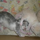 ���� �����, ������ - ��������� 14 ���� 2010 � ������ ������ ��������