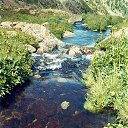 ���� ���������, ���������� - ��������� 26 ������� 2013 � ������ ���� ����������