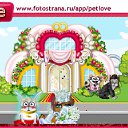  , , 46  -  1  2011   PetLove