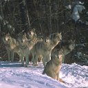 ���� ��������, ������������, 45 ��� - ��������� 25 �������� 2010 � ������ ���� ����������