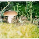 �� ���� �� ��������,����� ����� ���� �� ������� ���� ����������