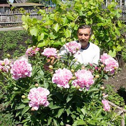 �������, ���������, 69 ���