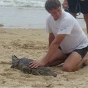 ���� �������, ������������ - ��������� 5 ���� 2010 � ������ �������