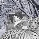 ���� �������, ��������, 53 ���� - ��������� 28 �������� 2010 � ������ ���� ����������