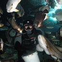 ���� �������, ��������, 51 ��� - ��������� 12 ������� 2011