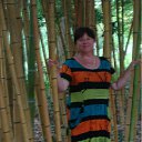 ���� ����, ������, 62 ���� - ��������� 12 �������� 2011 � ������ �PetLove�