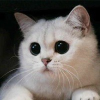 ���� ������������, ����� - ��������� 29 ������� 2012