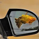 ���� ����, ������ �����, 32 ���� - ��������� 6 ������� 2010 � ������ �������