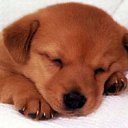 ���� ����, ������, 32 ���� - ��������� 9 ������� 2011 � ������ �������