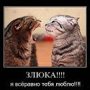 ���� ����, �����-���������, 34 ���� - ��������� 23 ������ 2010 � ������ �������