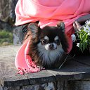 ���� ������� C., �����-���������, 54 ���� - ��������� 7 ���� 2013 � ������ ���� ����������