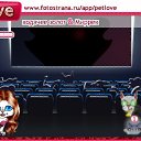 ���� ����������, �����, 24 ���� - ��������� 14 ��� 2011 � ������ �PetLove�