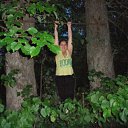  , , 36  -  31  2010    2010