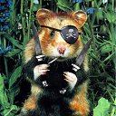 ���� Karapuz, ������ - ��������� 30 ������� 2010 � ������ ������ (������)�