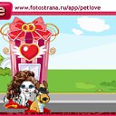  100, , 24  -  6  2010   PetLove