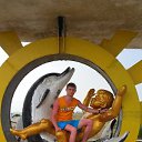 ���� ��������, �������, 36 ��� - ��������� 1 ������� 2011 � ������ ���� ����������