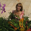 ���� ����, ���������, 55 ��� - ��������� 17 ���� 2011 � ������ ���� ����������