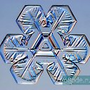 ���� �������, ������, 41 ��� - ��������� 9 ������� 2009 � ������ ���������