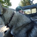 ���� �������, ������, 50 ��� - ��������� 3 ������ 2011 � ������ ���� ����������