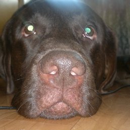 ���� ������, ������, 40 ��� - ��������� 15 ��� 2012