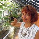 ���� ������, ��������������, 61 ��� - ��������� 21 ������ 2013