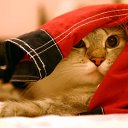 ���� ����� - ���������� ��������!!!, �����������, 56 ��� - ��������� 31 ������� 2009 � ������ �����Ȼ