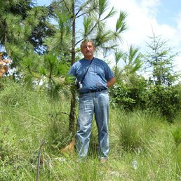 ���������, ����, 69 ���