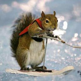 ���� ������, ���������, 42 ���� - ��������� 25 ������� 2012