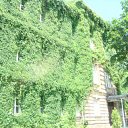   -  !), -, 53  -  20  2011    