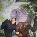 ���� ���������, �������, 43 ���� - ��������� 16 ����� 2013 � ������ ���� ����������