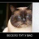 ���� ������, ������, 48 ��� - ��������� 30 ����� 2012 � ������ ���� ����������